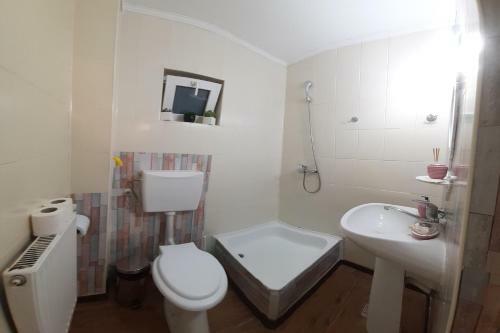 Hostal Vila Trei Brazi