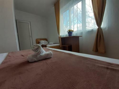 Hostal Vila Raysa Si Andrei Costinesti