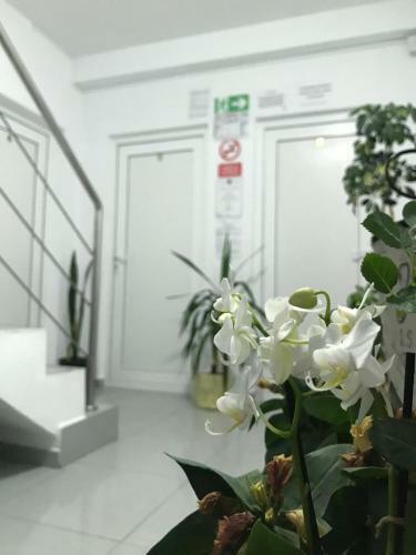 Hostal Vila Raysa Si Andrei Costinesti