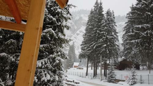 Casa Bic?jeanului - Lacu Ro?u