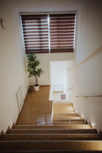Apartamento Marino Lux Preno?i?te