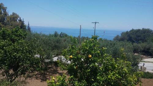 Apartamento Belvedere Zakynthos Studios