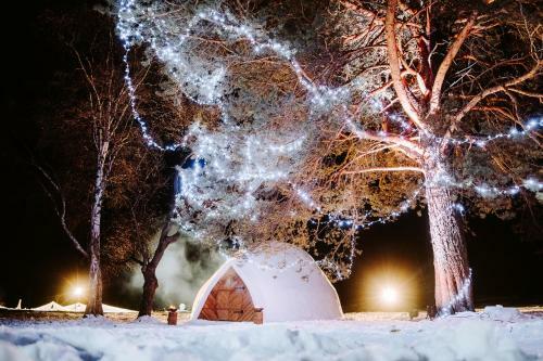 Daydream Forest Glamping And Snow Hotel