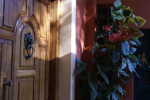 Apartamento Felicita - Balis