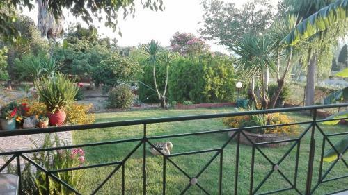 Anastasis Apartments