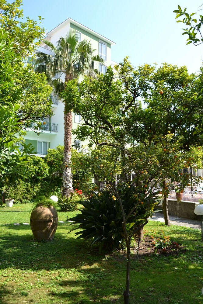 Hotel Carlton International