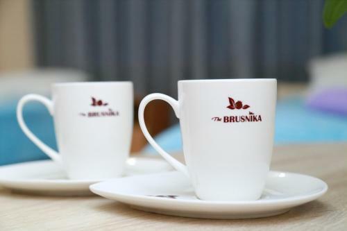 Posada ????-????? �the Brusnika�