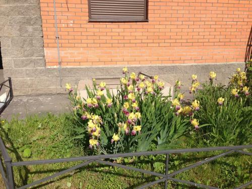 Apartamento Geka