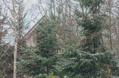 Villa St.moritz By Skokovo Park