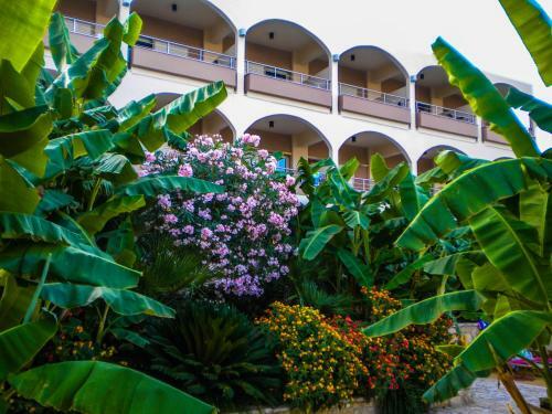 Aparthotel Paradise Lost Hotel-apartments
