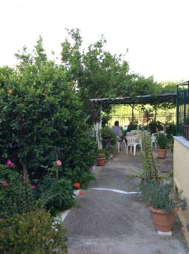 Apartments Rania