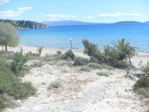 Hostal Hotel Pavlos & Studios