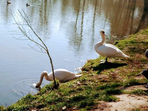 Apartamento ????????