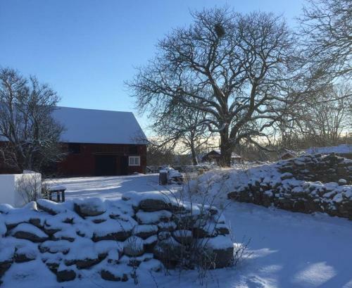 Hostal Rosenborgs Friluftspensionat