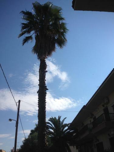 Hotel Markos