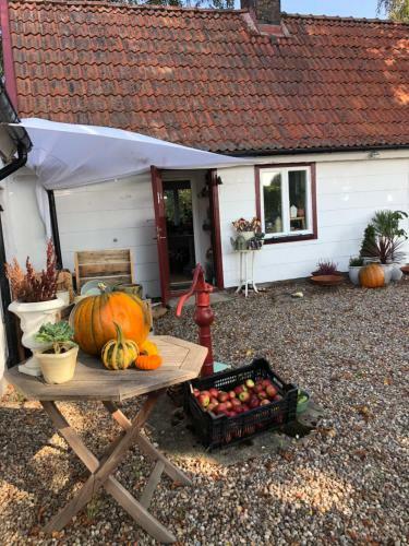 Trenneg�rden B&B Och Butik