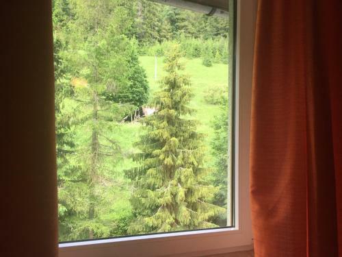 Hostal Penzi�n Borovica