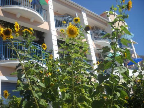 Apartamento Olive Bay Hotel