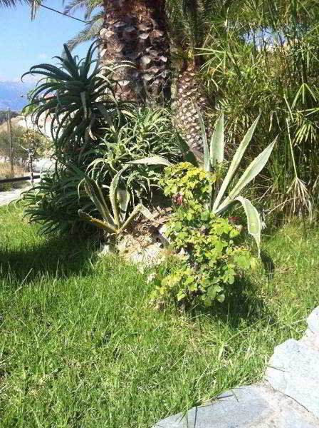 Apartamento Alkion