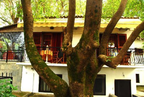 Apartamento Tasoula Parselia Studios