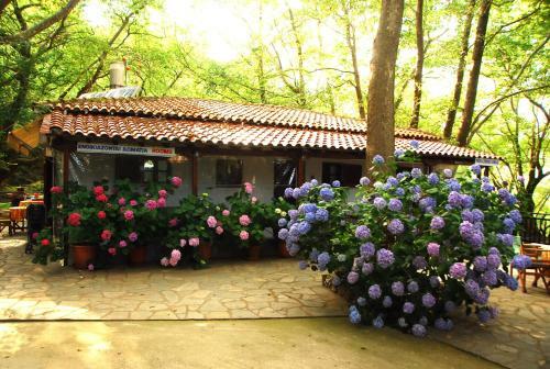 Apartamento Tasoula Parselia Studios