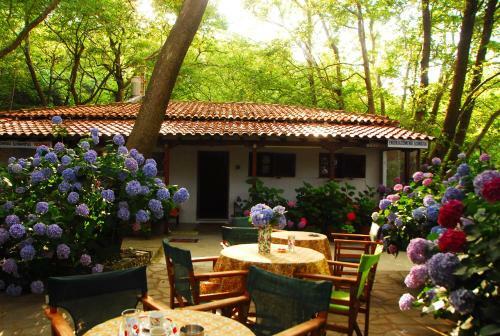 Apartamento Tasoula Parselia Studios