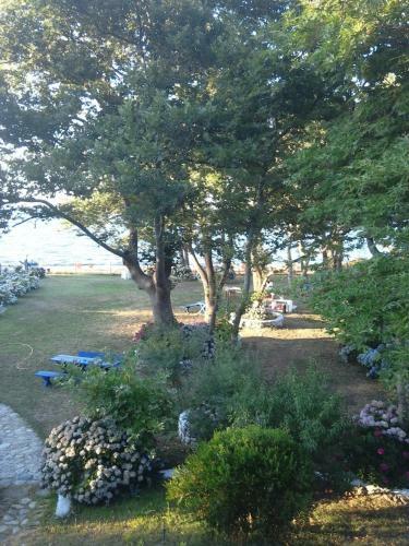 Archondissa Boutique Beach Aparthotel