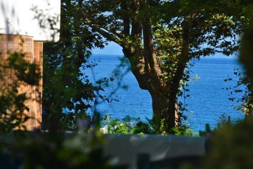 Archondissa Boutique Beach Aparthotel