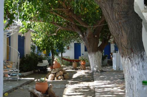 Apartamento Skyros Junior Studios