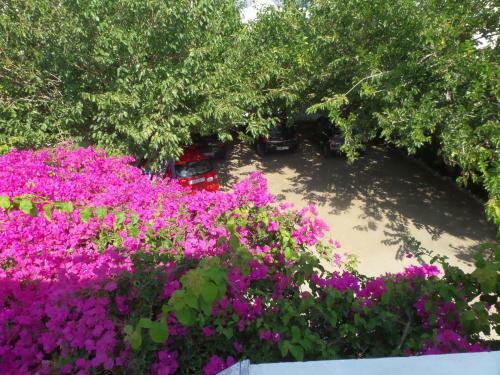 Apartamento Skyros Junior Studios