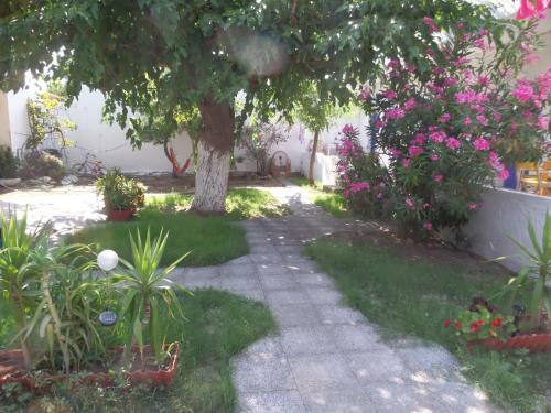 Apartamento Skyros Junior Studios