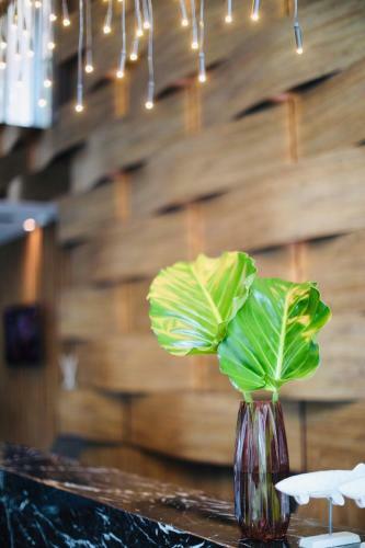 Rak Elegant Hotel Patong