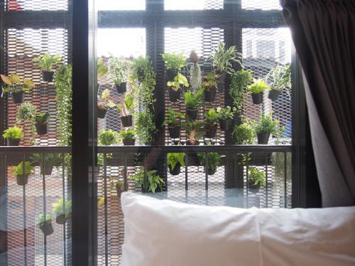 Albergue Lamurr Sukhumvit 41