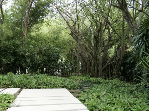 Villa Chelay Resort Kamala Phuket