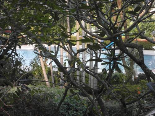 Baan Suan Lalana Td Floor 2 Room 203