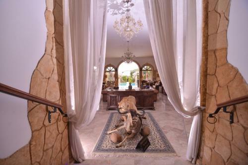 Hostal Airbetter -luxury Guest House Dar Laura Hammamet