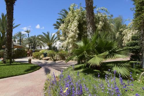 Hotel Djerba Resort