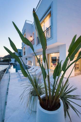 Hostal Maison Dedine