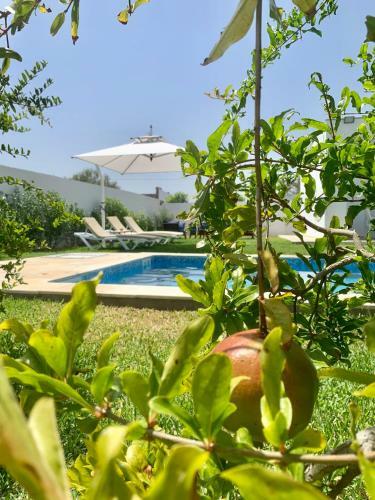 Awsome Villa With Private Pool