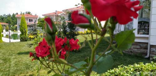 Villa Palace Kirkpinar
