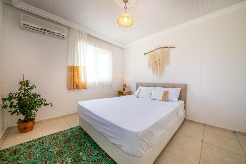 Hotel Yucca House G�kova