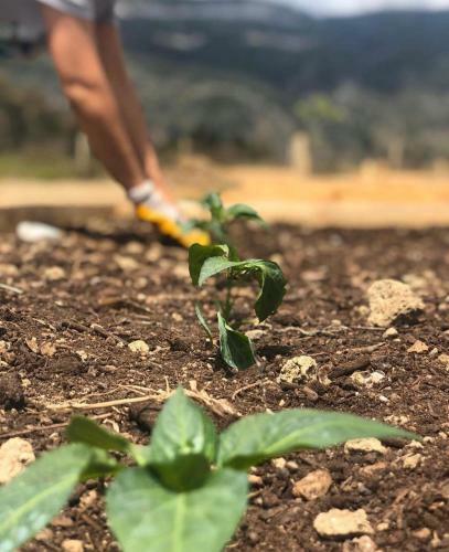 Hotel Yucca House G�kova