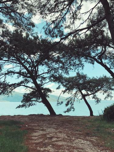 Hotel Yucca House G�kova