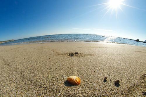 Apartamentos Summer Dream