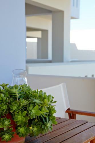 Amarandos Sea View Apartments