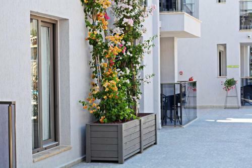 Queen Apart Hotel & Residence