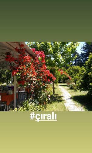 Alican Sakl?bah�e Pension