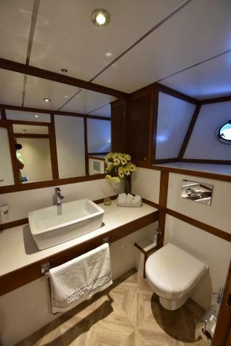 Ada Dreams / Boat