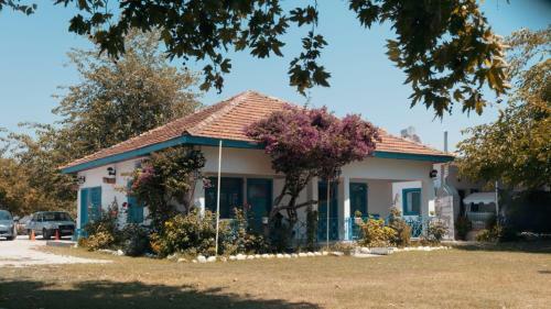 Bed & Breakfast Okaliptus Butik Hotel