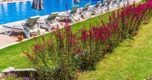 Apartamento Likya Garden Residence